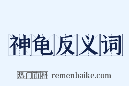 神龟反义词是什么意思的图片